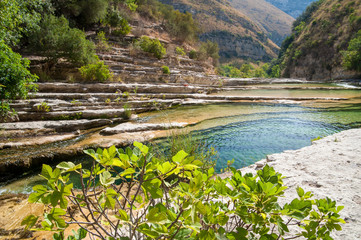 Ficus plant in the natural reserve Cavagrande, Sicily, and one of its natural pools in the background