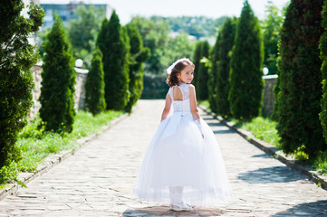 Fototapeta na wymiar Portrait of cute little girl on white dress and wreath of first