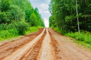 dirt road in the forest
