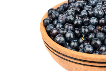 Blueberries in bowl