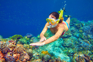 femme plongée en apnée au-dessus du récif de corail vif