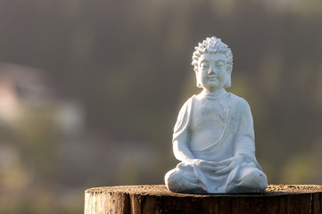 Buddha statue image used as amulets of Buddhism. Religion concept background with empty space for text