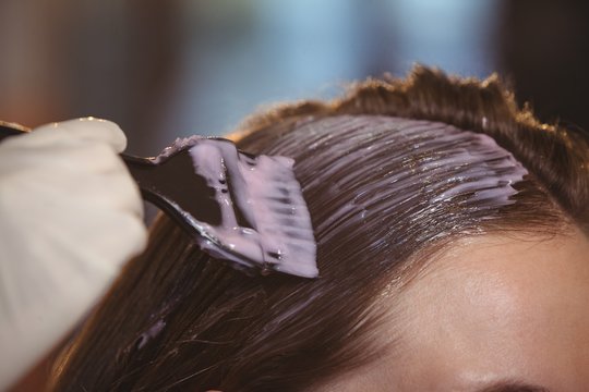 Hairdresser dyeing hair of her client