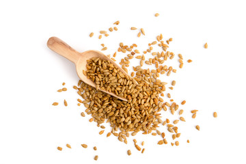 Geröstete Sonnenblumenkerne