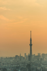 Naklejka premium 東京、夕日