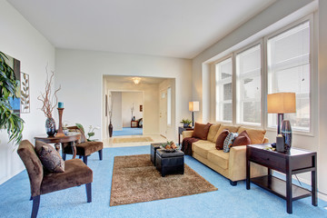 Cozy modern living room with blue carpet floor