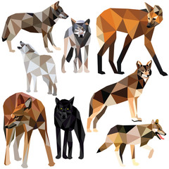 Obraz premium Wolves set colorful low poly animal designs isolated on white background. Vector illustration. Collection in a modern style.