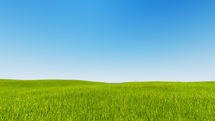 Landscape green grass blue sky 3d rendering - 116246053