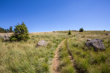 chemin de randonnées dans le parc des Cévennes , sur une colline