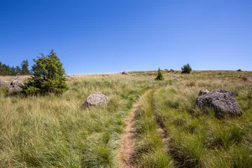 Rolgordijnen chemin de randonnées dans le parc des Cévennes , sur une colline © Olivier Tabary
