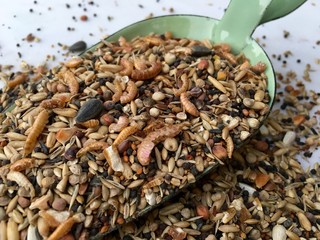 Hühnerfutter mit Bachflohkrebsen