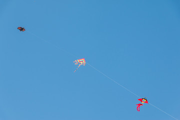 Spielzeugdrachen am blauen Himmel, Spielzeug