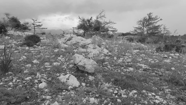 Drought on a deserted island. Hot summer day.