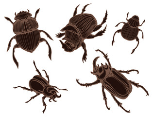 Beetle deer. Horned Beetle. Big. Insect. Set. Line art. Black and white drawing by hand. Graphic arts. Doodle. Tattoo. Lucanus c