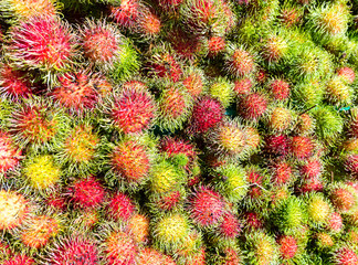 Fototapeta premium Fresh Thai rambutans
