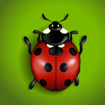 Red ladybird on green background. Vector illustration.