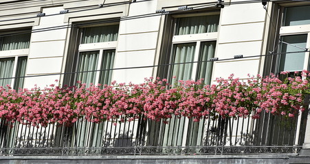 Fototapeta na wymiar hôtel...façade fleurie