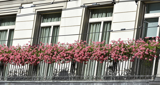 h&ocirc;tel...fa&ccedil;ade fleurie