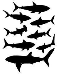 Beetle deer. Horned Beetle. Big. Insect. Set. Line art. Black and white drawing by hand. Graphic arts. Doodle. Tattoo. Lucanus cervus.