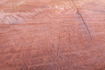 Hardwood is cut beautiful patterns.