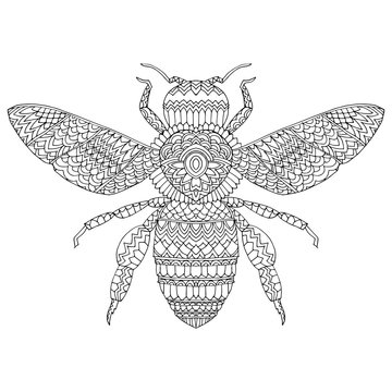 Beetle deer. Horned Beetle. Big. Insect. Set. Line art. Black and white drawing by hand. Graphic arts. Doodle. Tattoo. Lucanus cervus.