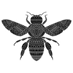 Beetle deer. Horned Beetle. Big. Insect. Set. Line art. Black and white drawing by hand. Graphic arts. Doodle. Tattoo. Lucanus cervus.