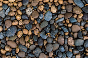 Pebbles, small boulders.