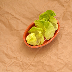foglie di insalata cappuccina in una insalatiera di coccio, vista dall'alto, formato quadrato