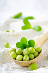 Fresh raw organic green peas in wooden spoon on white background