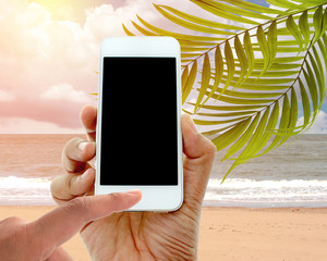 hand hold and touch screen smart phone on coconut palm trees wit