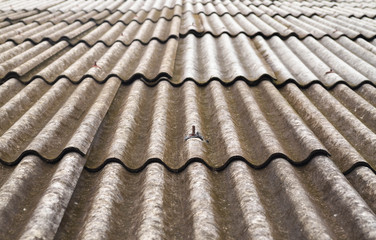 Grunge tile roof background
