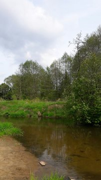 Summer river