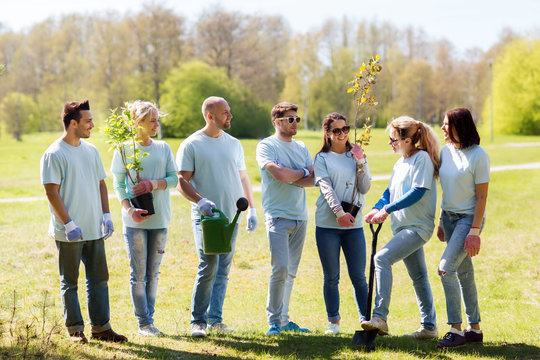 group of volunteers with trees and rake in park