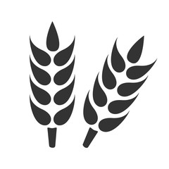 Ears of wheat. Simple flat logo of wheat ears on white background. Vector illustration.