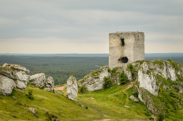 Ruiny Zamku w Olsztynie k/ Częstochowy - Zamek Olsztyn