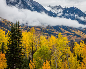 "Colorado Gold"  McClure pass rises above Carbondale, Colorado. On this October day the fall colors were vibrant and at their peak. It makes for a beautiful drive...