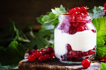 Sweet dessert with red currants, cottage cheese and yogurt mouss