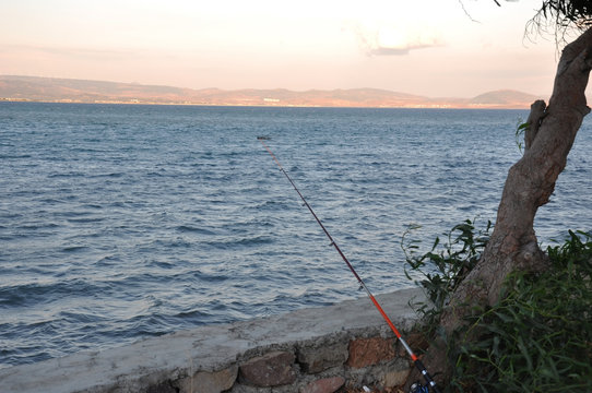 lonely fishing pole