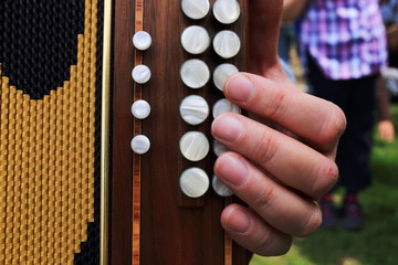 cantastorie musicista
