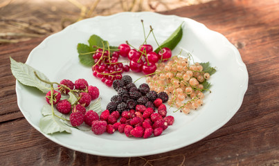 wild berries on plate