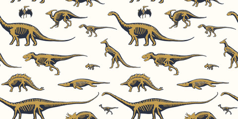 Seamless pattern, endless repeatable background with silhouettes set of skeletons of dinosaurs and fossils. Hand drawn vector illustration. Comparison of realistic size, separated elements.
