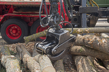 Forestry machine and fallen trees. Industry