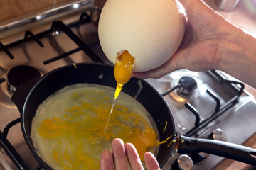 Cooking process of frying huge ostrich egg on frying pan