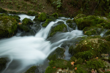 Fototapeta na wymiar fast flowing rivers in the forests of Montenegro
