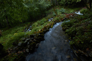 fast flowing rivers in the forests of Montenegro