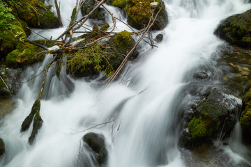 fast flowing rivers in the forests of Montenegro