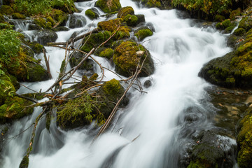 fast flowing rivers in the forests of Montenegro