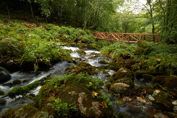 Obraz premium fast flowing rivers in the forests of Montenegro
