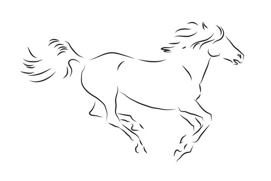 Sketch of silhouette of galloping horse
