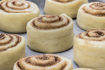 Beautiful and uncooked cinnamon buns with cinnamon